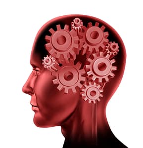 So can we change what we eat