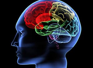 So can we change what we eat - My Weigh Less