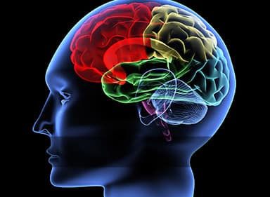 The Science of Psychology in Weight Loss