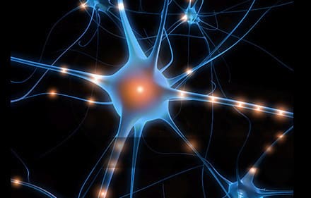 My Brain Food Addiction